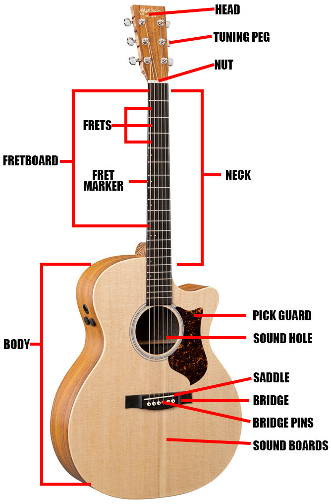 Acoustic Guitar Parts Diagram Definitions