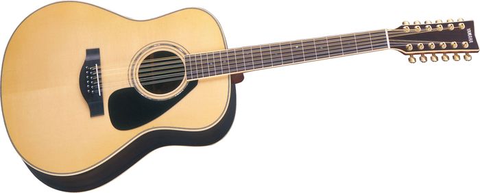 Acoustic 12 String