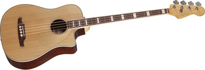 Acoustic Bass Guitar